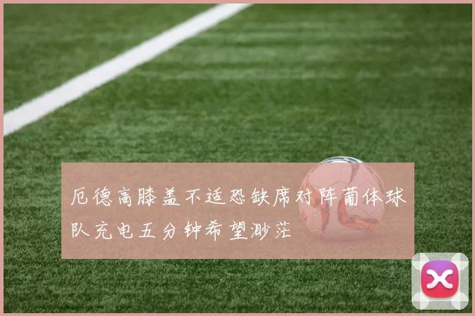 厄德高膝盖不适恐缺席对阵葡体球队充电五分钟希望渺茫
